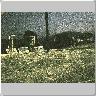 Dscn0517